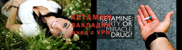 ПСИЛОЦИБИНОВЫЕ ГРИБЫ Вязники