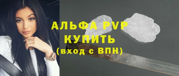 скорость Вяземский