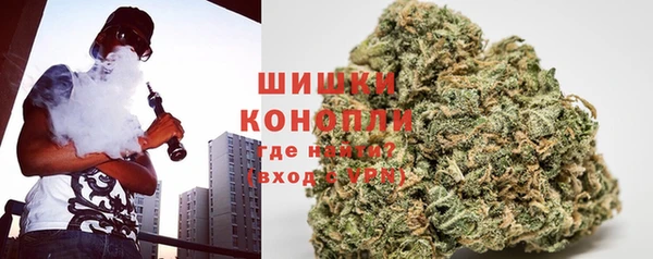 ПСИЛОЦИБИНОВЫЕ ГРИБЫ Вязники