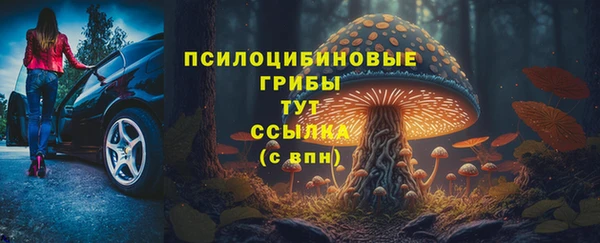 скорость Вяземский
