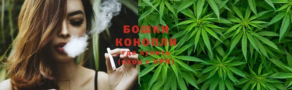 скорость Вяземский