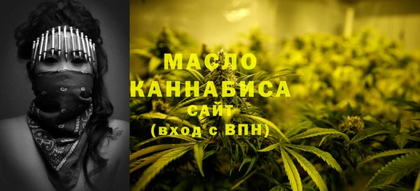 ПСИЛОЦИБИНОВЫЕ ГРИБЫ Вязники