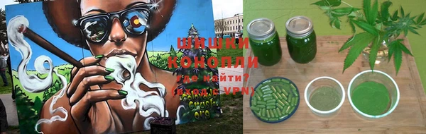 скорость Вяземский