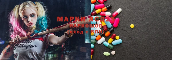 ПСИЛОЦИБИНОВЫЕ ГРИБЫ Вязники