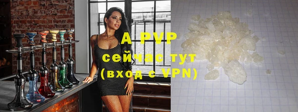 скорость Вяземский