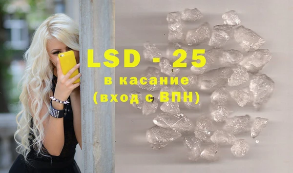 ПСИЛОЦИБИНОВЫЕ ГРИБЫ Вязники