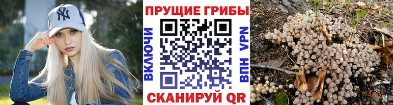 Псилоцибиновые грибы ЛСД  Инта 